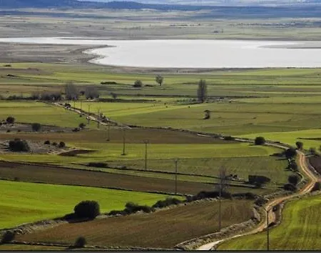 Aromas Del Jiloca, La Trufa Negra 卡拉莫查