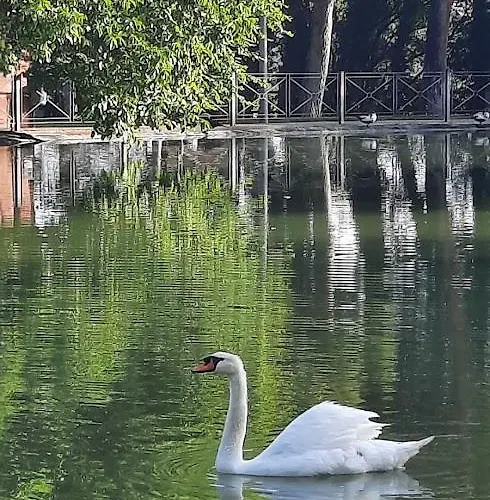 Aromas Del Jiloca, La Trufa Negra Calamocha