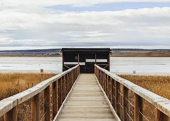 Apartamento Aromas Del Jiloca, La Trufa Negra Calamocha