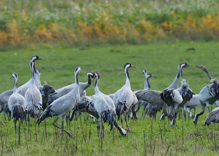 Aromas Del Jiloca, La Trufa Negra Apartamento Calamocha